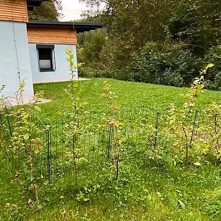Wilisch Amtsberg